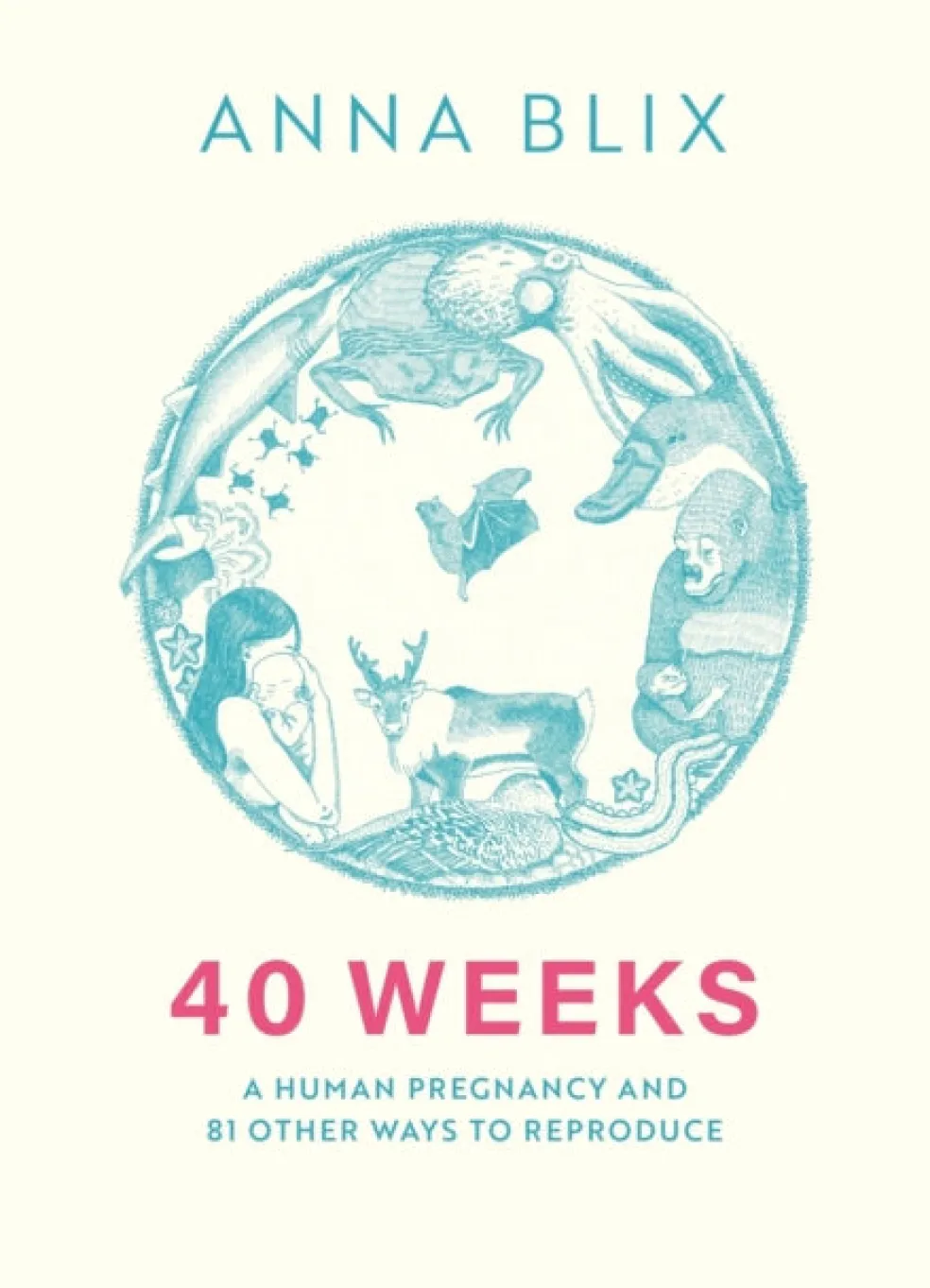 40 Weeks