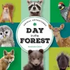 Animal Adventures: Day in the Forest