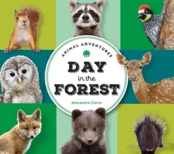Animal Adventures: Day in the Forest