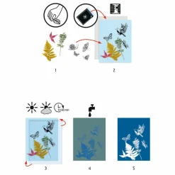 Askartelusetti Cyanotype aurinkovärjäys Djeco