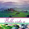 Bella vista 2