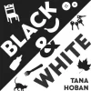 Black & White Board Book