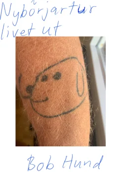 Bob Hund : nybörjartur livet ut