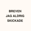 Breven jag aldrig skickade