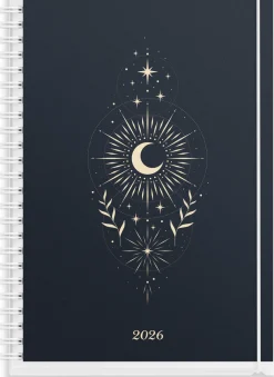 Business 4 in 1 2026