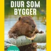 Djur som bygger