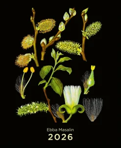 Ebba Masalin seinäkalenteri 2026