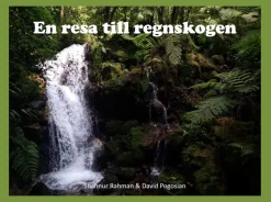 En resa till regnskogen