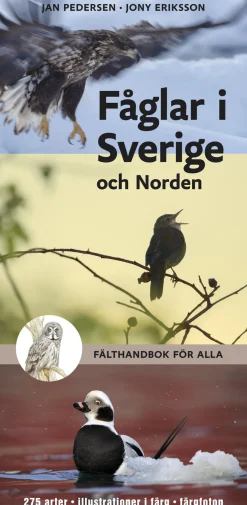 Fåglar i Sverige och Norden : fälthandbok för alla