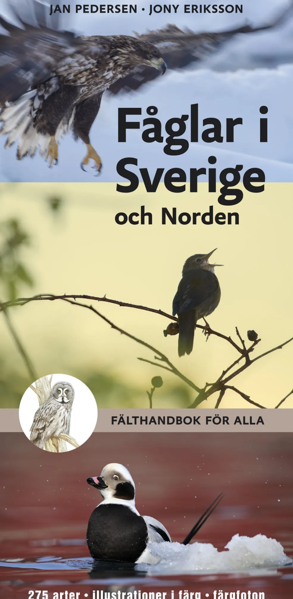 Fåglar i Sverige och Norden : fälthandbok för alla