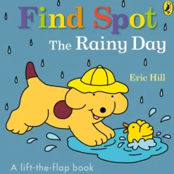 Find Spot: The Rainy Day
