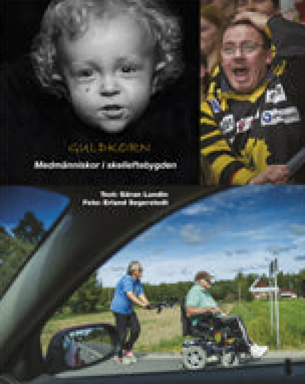 Guldkorn : medmänniskor i Skelleftebygden