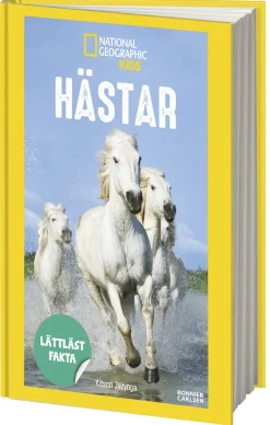 Hästar