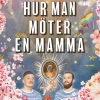 Hur man möter en mamma