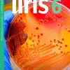 Iiris 6 (LOPS21)