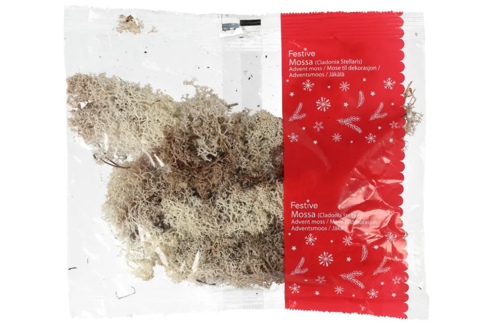 Jäkälä 40g valkoinen