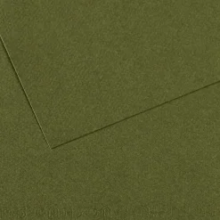 Kartonki A4/25 kpl 448 Ivy 160g Canson Mi-Teintes