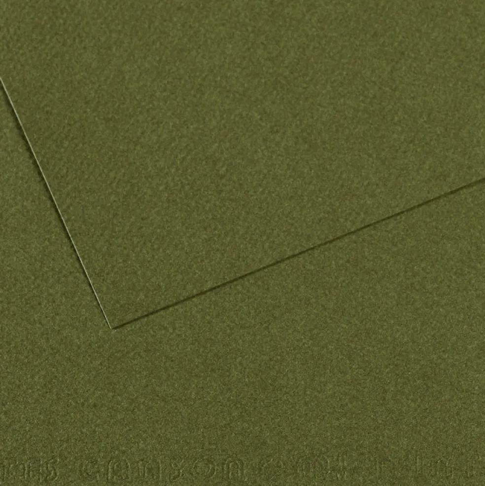 Kartonki A4/25 kpl 448 Ivy 160g Canson Mi-Teintes