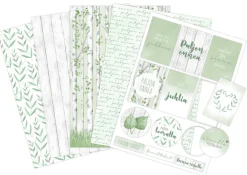 Kartonkilajitelma A4/10 kpl Luonto