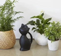 Kastelukannu Balvi Kissa musta