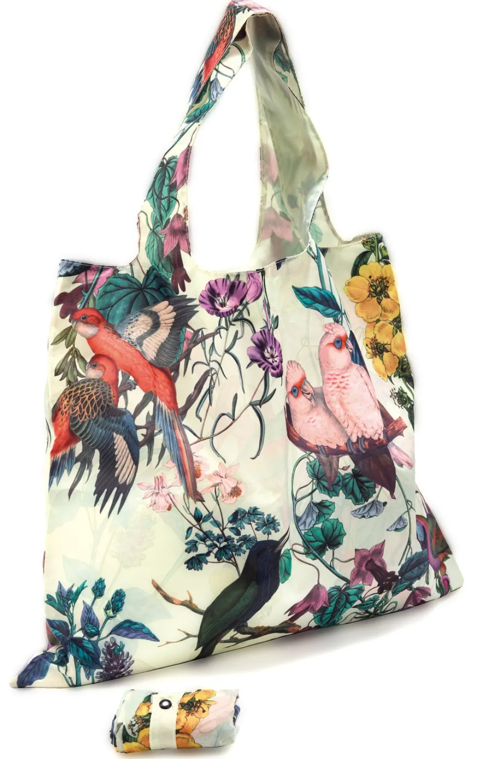 Kestokassi Cedon Paradise nepparisulkijalla