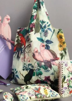 Kestokassi Cedon Paradise nepparisulkijalla