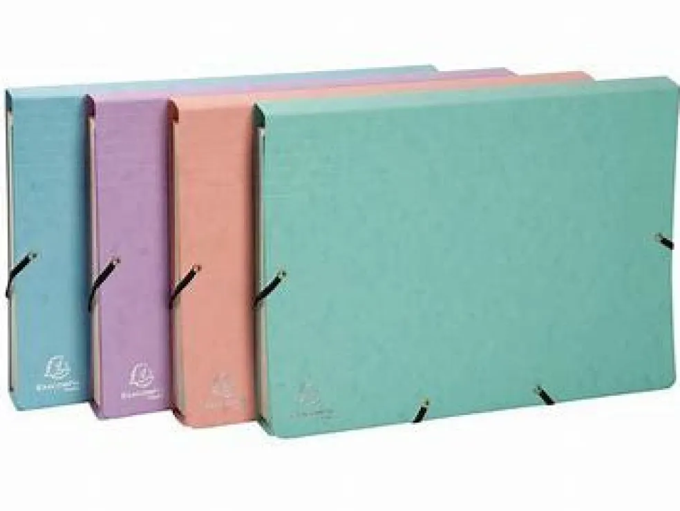 Kodinkansio A4 Exacompta kartonki värilajitelma