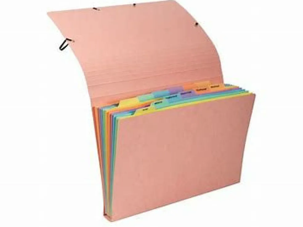 Kodinkansio A4 Exacompta kartonki värilajitelma