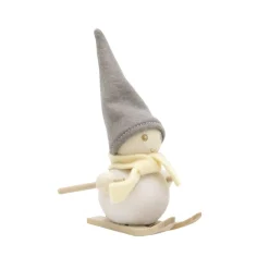 Koriste Aarikka Pakkanen Hiihtäjä