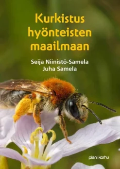 Kurkistus hyönteisten maailmaan (selkokirja)