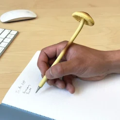 Kuulakärkikynä sieni