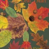 Leaf Man Board Book