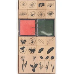 Leimasinsetti Transformation Rico Design