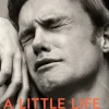 Little Life, A