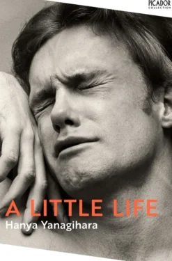Little Life, A