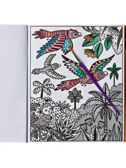 Maalaa vedellä VIIDAKKO -puuhakirja 6-99 v