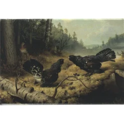 Magneetti Ateneum Taistelevat metsot