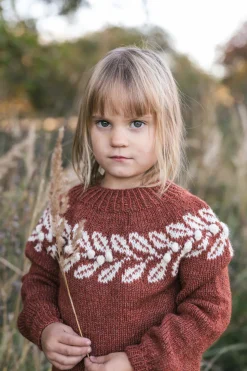 Minun suomalaisneuleeni