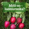 Mitä on luomuruoka (selkokirja)
