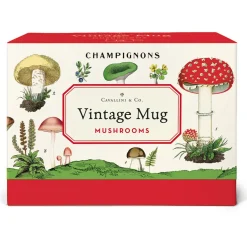 Muki Mushrooms Cavallini