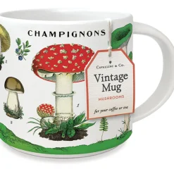 Muki Mushrooms Cavallini