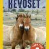 National Geographic. Hevoset