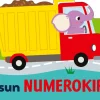 Norsun numerokirja