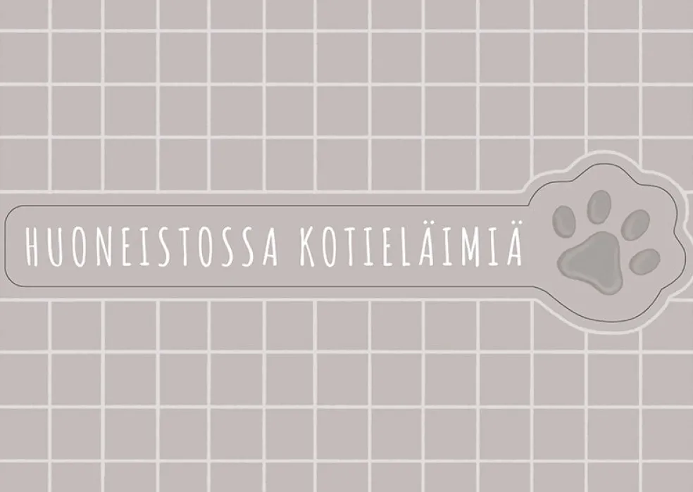 Ovitarra A6 Edit Heikkinen Huoneistossa kotieläimiä