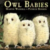 Owl Babies
