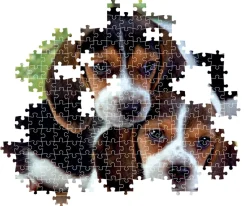 Palapeli 500 palaa Close Together- Compact