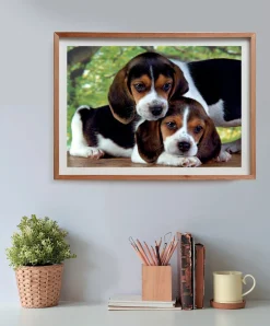 Palapeli 500 palaa Close Together- Compact