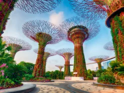 Palapeli 1500 palaa Garden By The Bay At Singapore