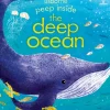 Peep Inside the Deep Ocean