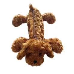 Penaali koira Cockapoo